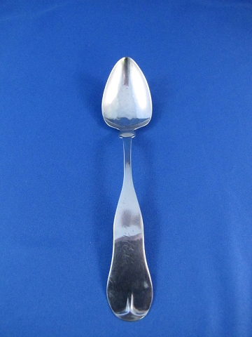 17. Coin Silver,Henry Webster & Co.
